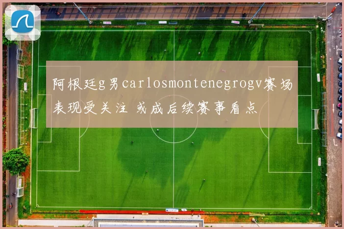 阿根廷g男carlosmontenegrogv赛场表现受关注 或成后续赛事看点