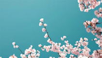 渡人者，得人心；渡己者，得安生